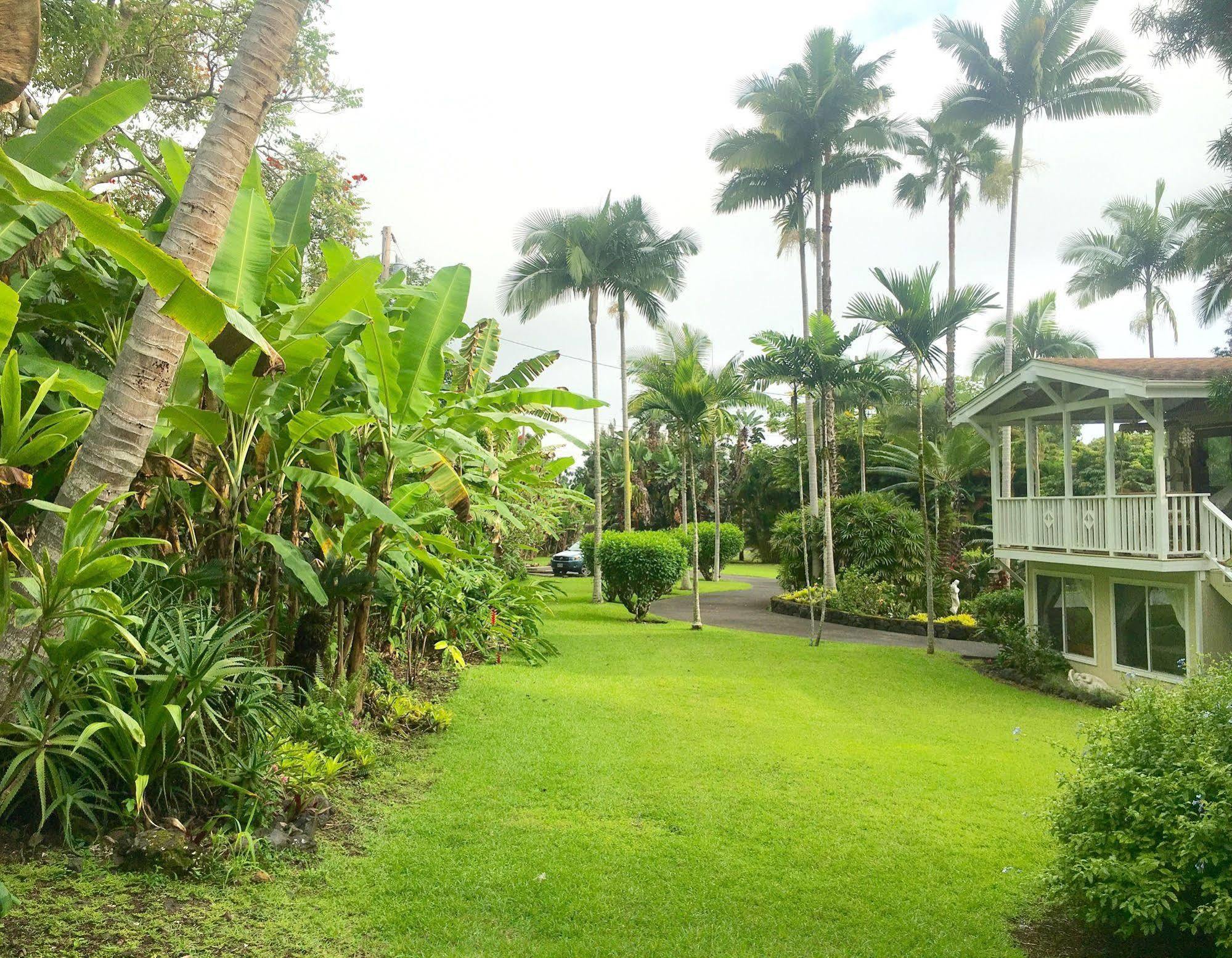 Mermaid Dreams Bed And Breakfast Kealakekua Eksteriør bilde