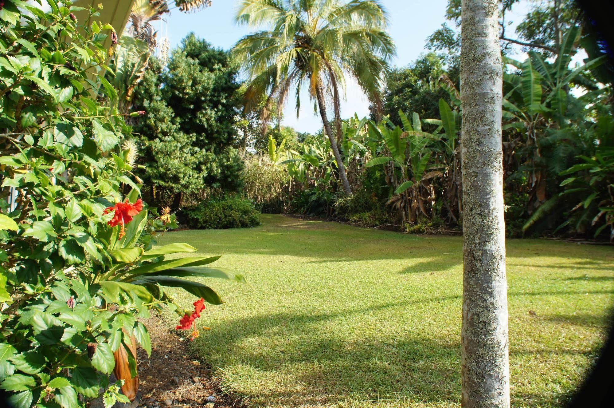 Mermaid Dreams Bed And Breakfast Kealakekua Eksteriør bilde